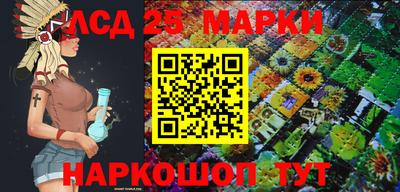 кокс Гатчина