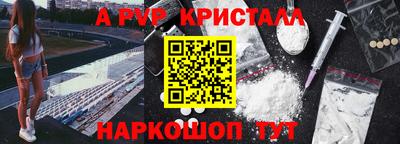 кокс Гатчина