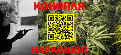 тгк Гай