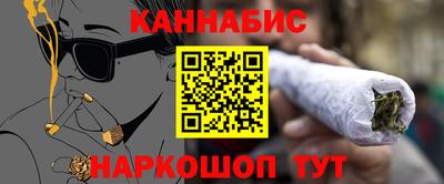 тгк Гай