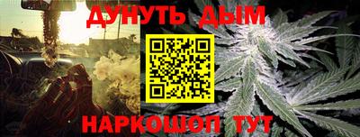 тгк Гай