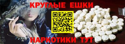 кокс Гатчина