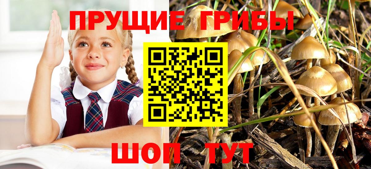 КОКАИН Шадринск
