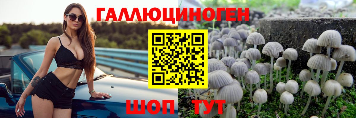 Галлюциногенные грибы Psilocybine cubensis Шадринск