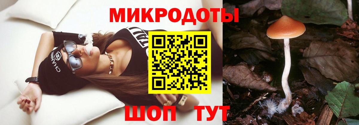 Галлюциногенные грибы Psilocybe  Вход с VPN  Шадринск  Псилоцибиновые грибы мицелий 